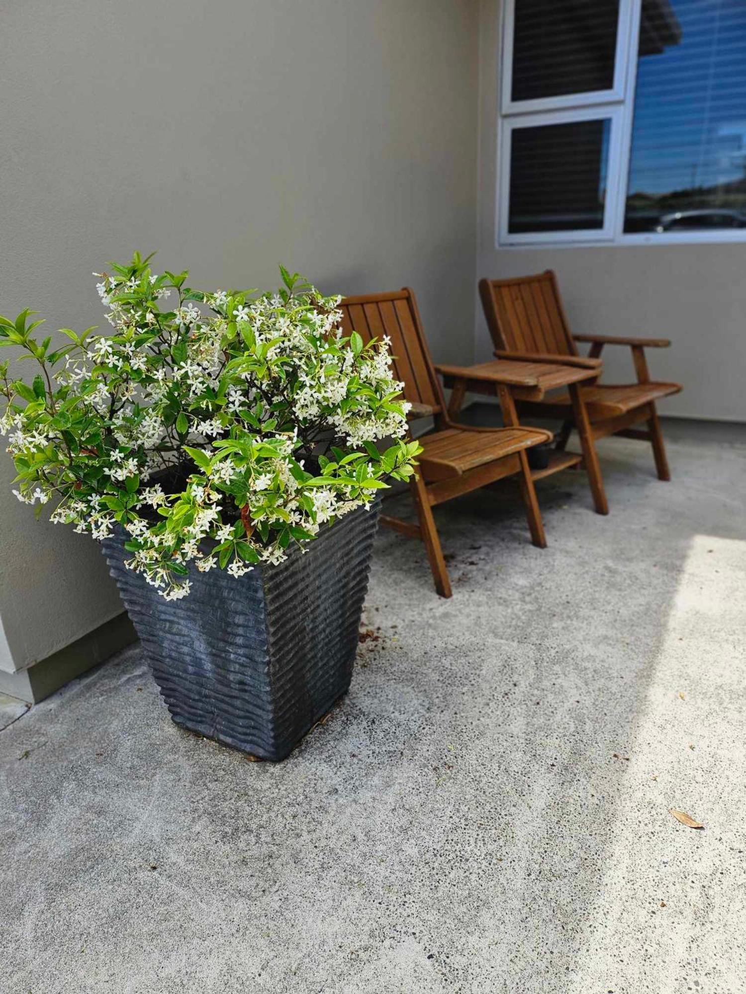 Beach Street Motel Apartments 뉴플리머스 외부 사진